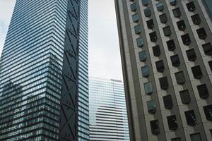 自然の中で楽しめるジップラインとは