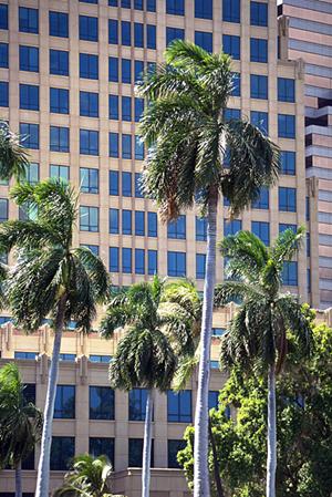 寄生虫や細菌から子供を守る砂場の衛生管理