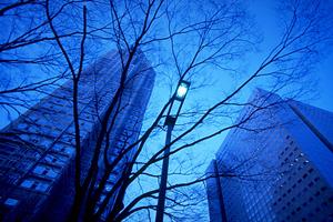 東京で外壁調査の依頼先の選び方