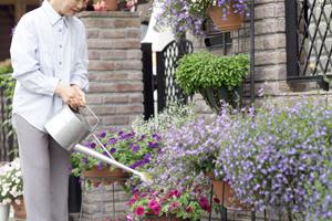 引越し業者の上手な選び方について
